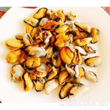 Färsk fryst mussla